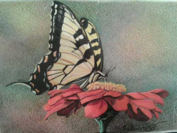 623x467 This Drawing Medium Isn't Just For Kids - Crayon Drawing