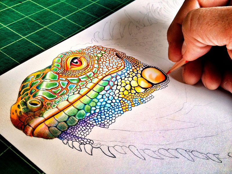 800x600 tim jeffs draws incredibly detailed lizards using pencil crayons - Crayon Drawings Artwork