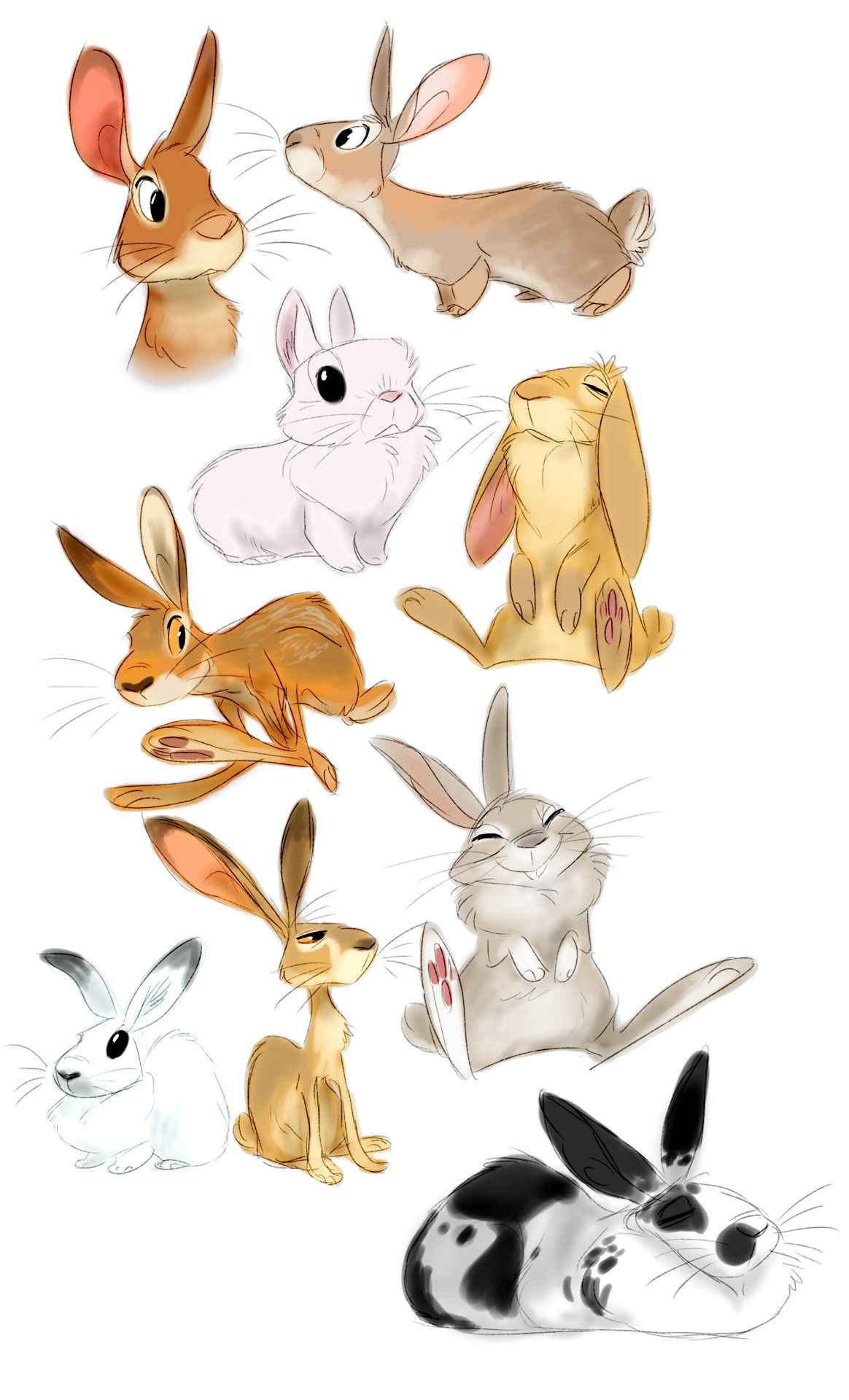 1164x1920 crazy animal drawings, rabbit drawing, bunny art - Crazy Animal Drawings
