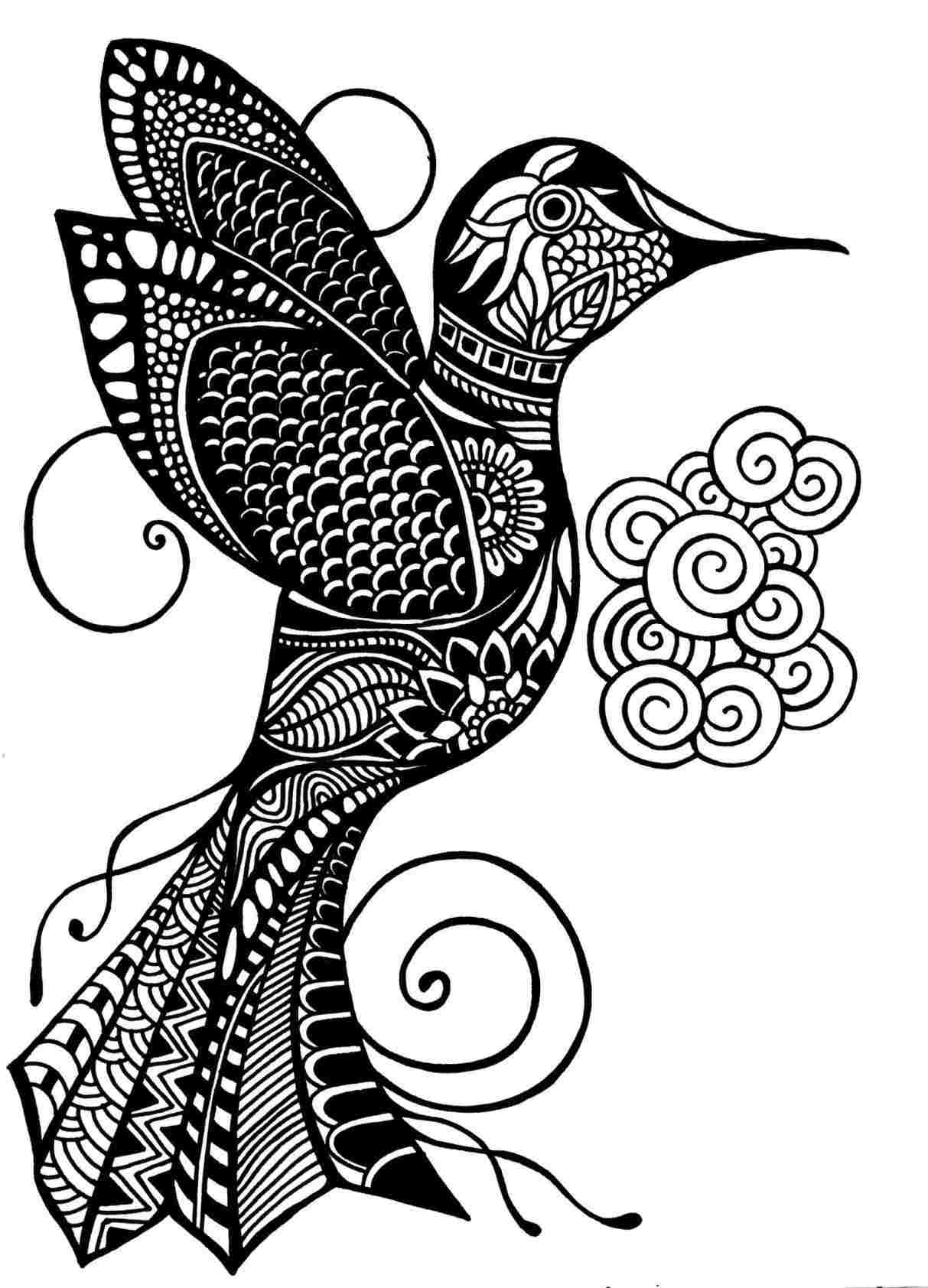 1213x1684 rhcom hummingbird crazy animal drawings blackandwhite - Crazy Animal Drawings