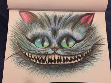 375x281 crazy cat drawing - Crazy Cat Drawing