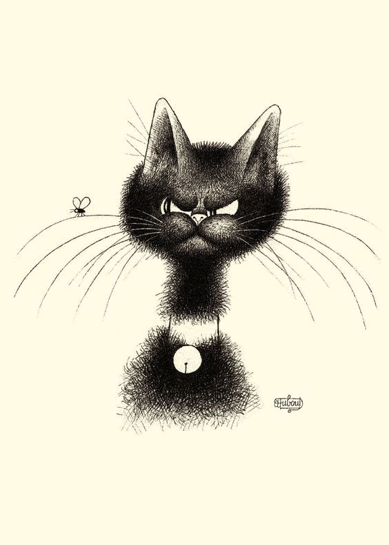 564x789 The Cute Cats, Cat Art, Black Cat Art - Crazy Cat Drawing