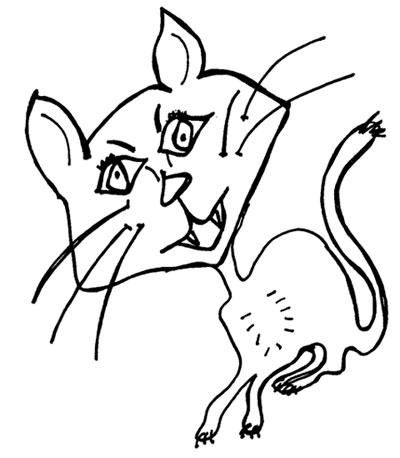 400x458 crazy cat drawing not shallow - Crazy Cat Drawing