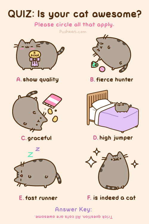 500x750 kitty funny cats books reading pusheen quiz cat lady hunter crazy - Crazy Cat Drawing