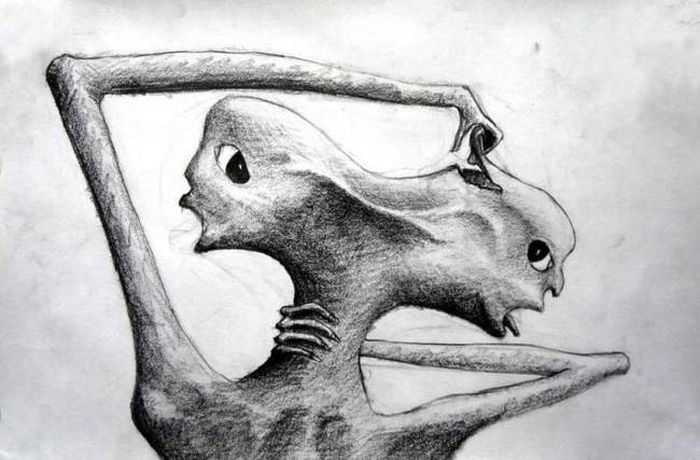 700x460 crazy drawings made - Crazy Drawings