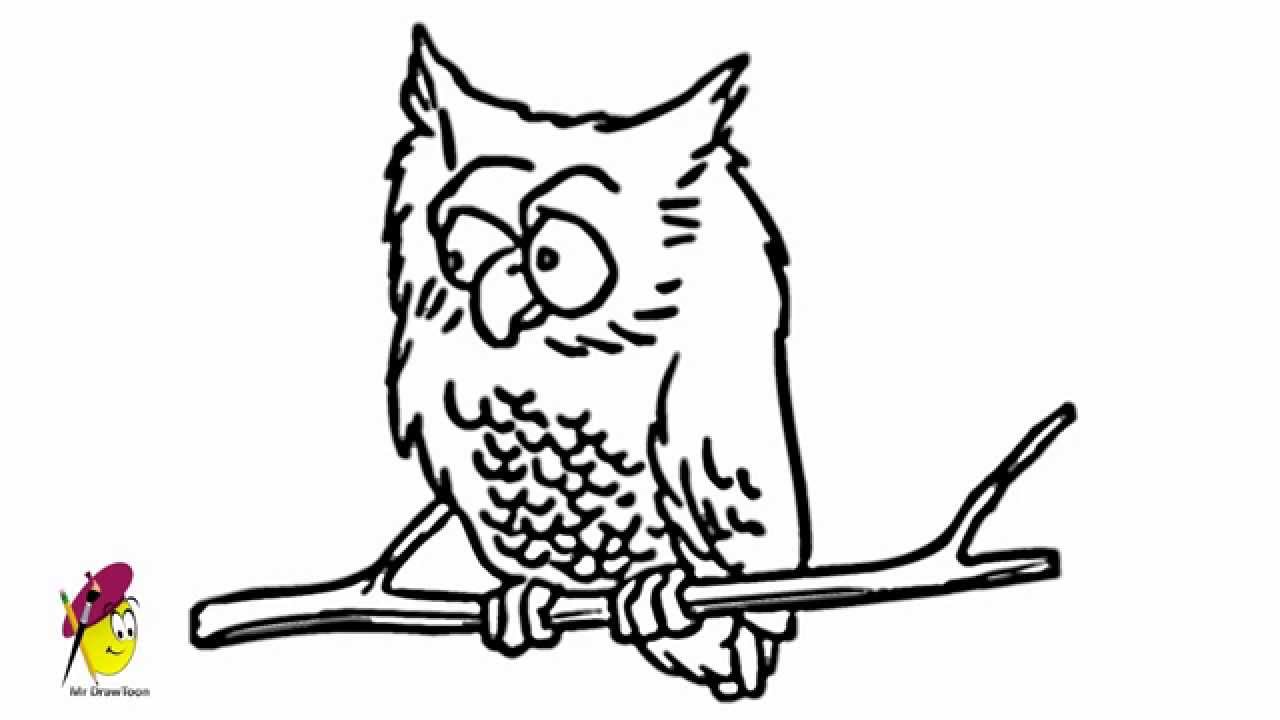 1280x720 crazy owl - Crazy Drawings