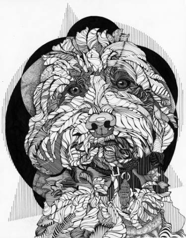 375x480 Lets Go For A Walk Drawing - Crazy Drawings