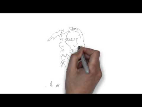 480x360 How To Draw Crazy Horse - Crazy Horse Drawing