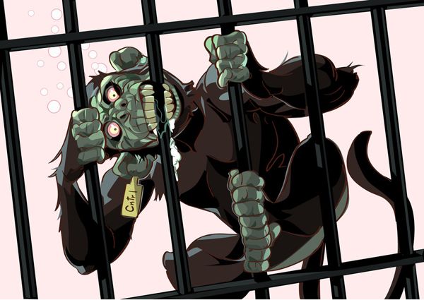 600x425 Crazy Monkey - Crazy Monkey Drawing