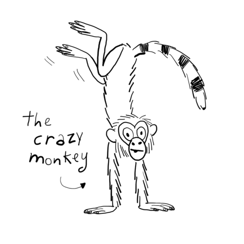 500x500 Drawing Lessons - Crazy Monkey Drawing