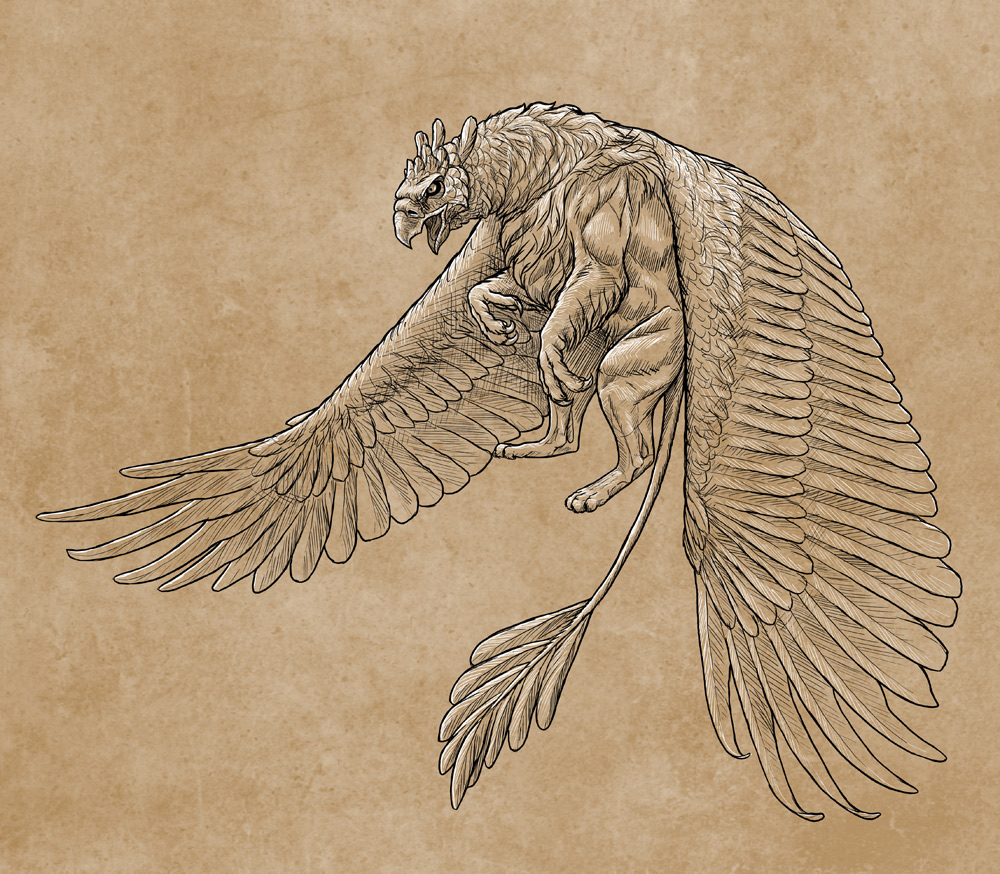 1000x874 How To Draw A Griffin - Create Your Own Drawing