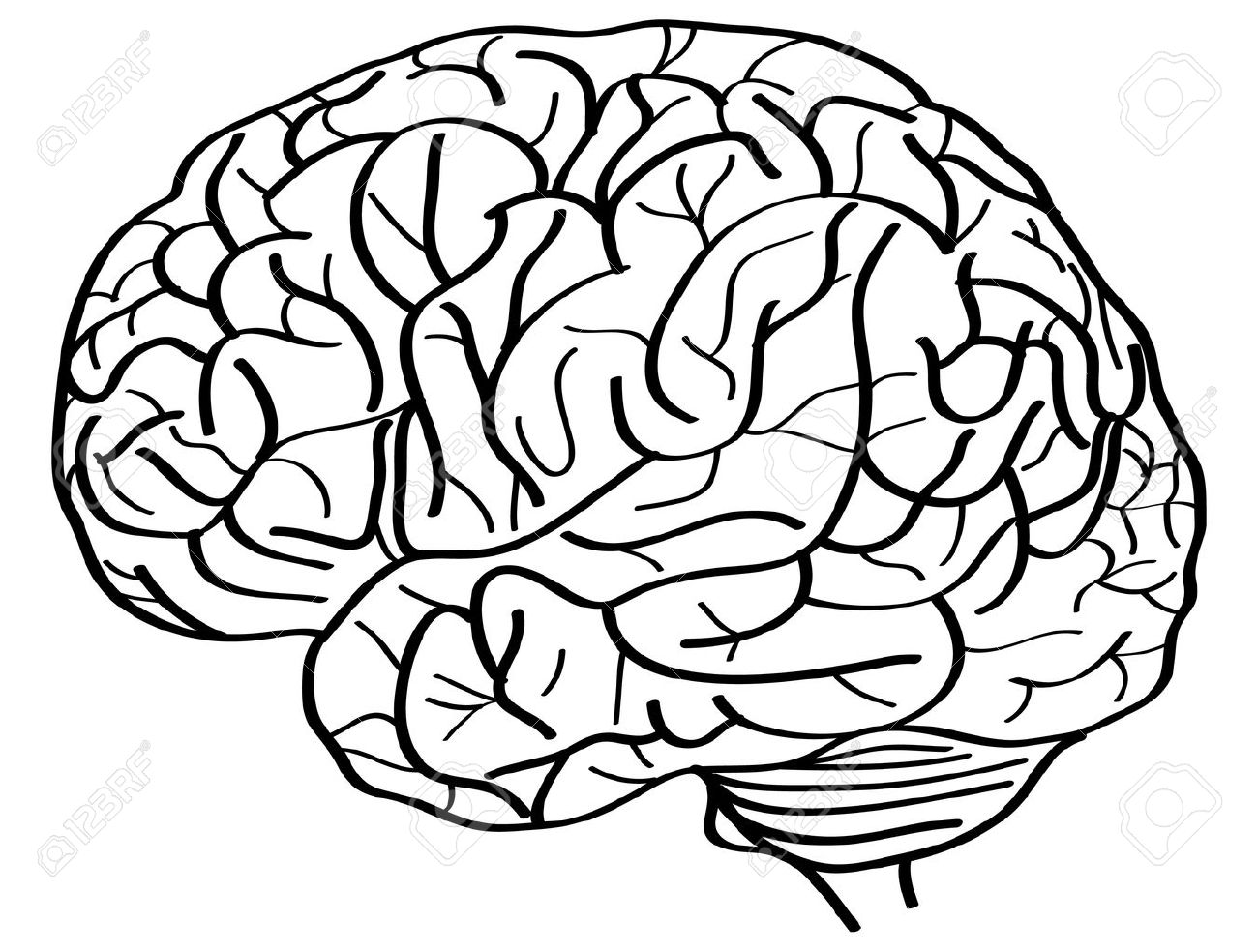 1300x984 creative brain drawing - Creative Brain Drawing