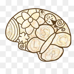 260x260 creative brain png - Creative Brain Drawing