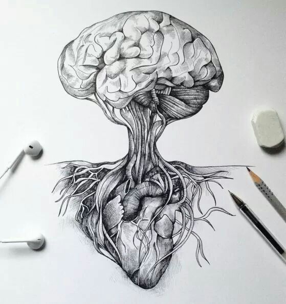 559x596 creative sketches drawings - Creative Brain Drawing
