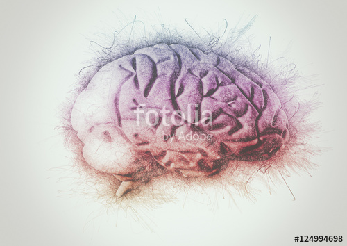 500x354 creative brain multi color pencil sketch stock photo and royalty - Creative Brain Drawing