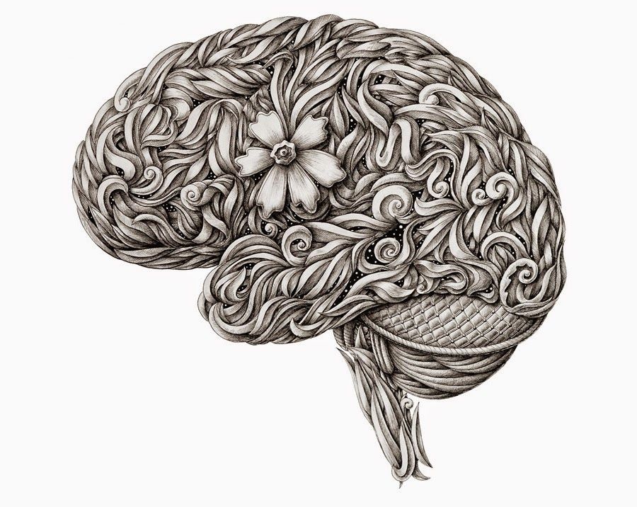 900x716 simply creative anatomy - Creative Brain Drawing