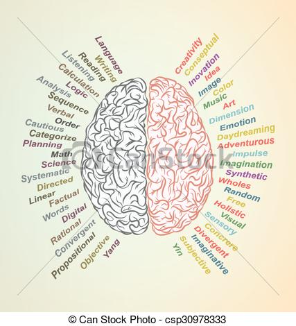 427x470 Collection Of Free Categorize Clipart Brain Download On Ui Ex - Creative Brain Drawing