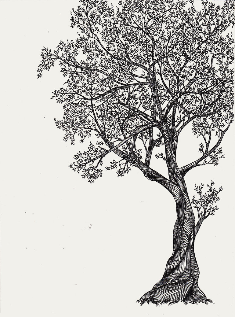 770x1037 Tree Drawing Creative For Free Download - Creative Tree Drawing