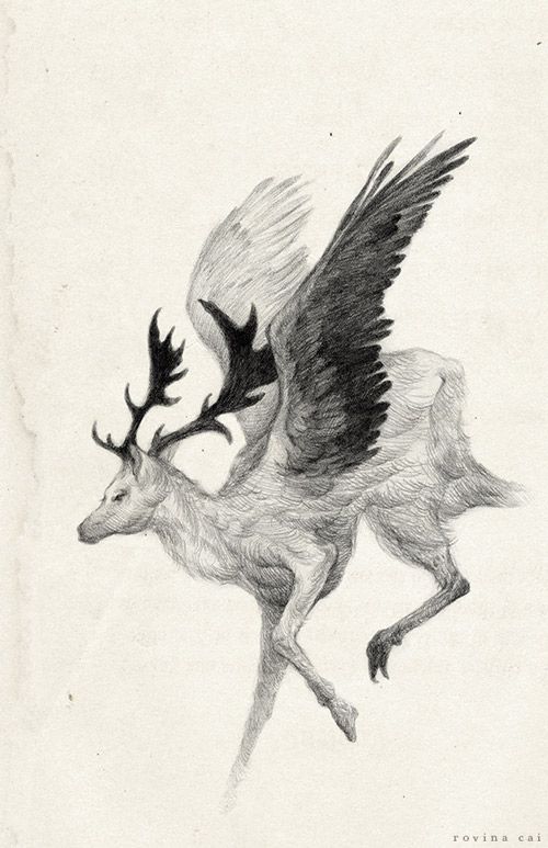 500x773 Daily Inspiration - Creature Drawing