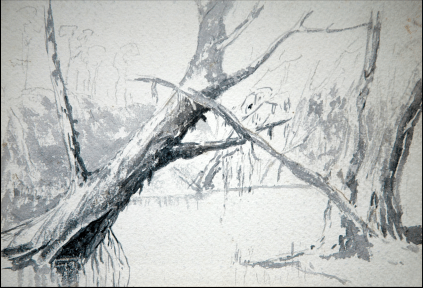 850x579 drawing - Creek Drawing