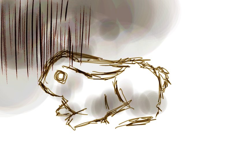 800x500 Huge Collection Of 'scary Rabbit Drawing' Download More Than - Creepy Bunny Drawing