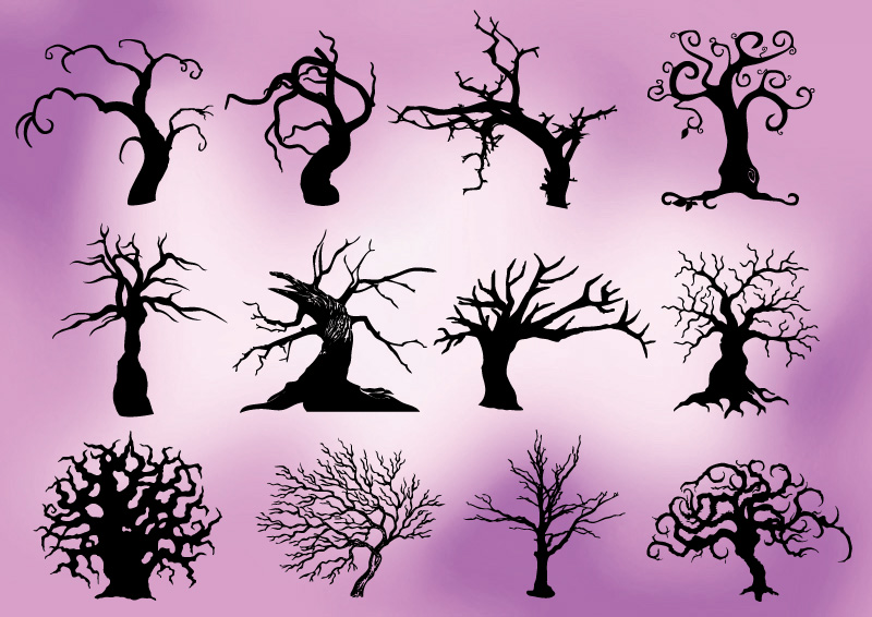 800x566 creepy trees silhouettes - Creepy Dead Tree Drawing