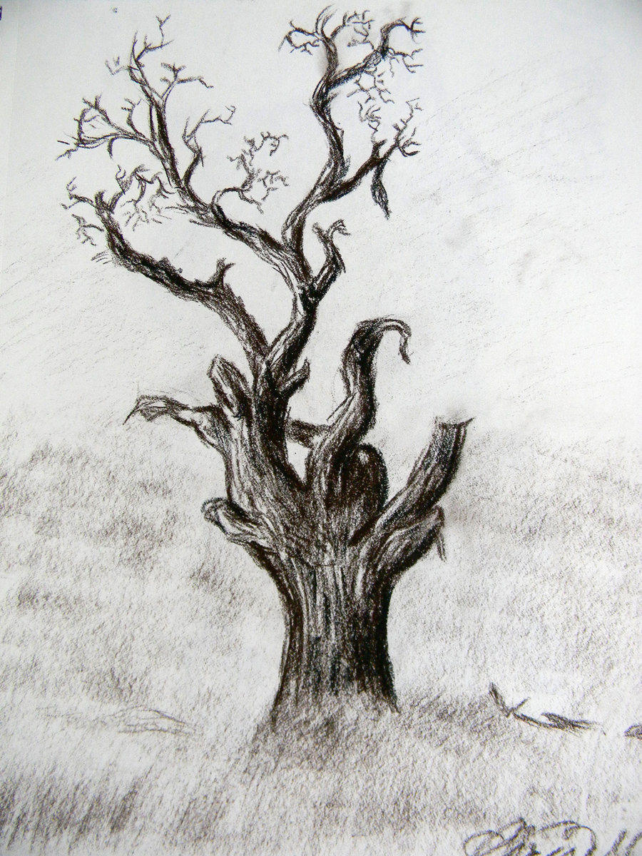 Creepy Dead Tree Drawing at Explore collection of