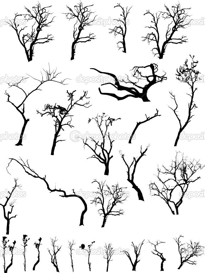 712x950 image result for creepy trees drawing art dead tree tattoo - Creepy Dead Tree Drawing