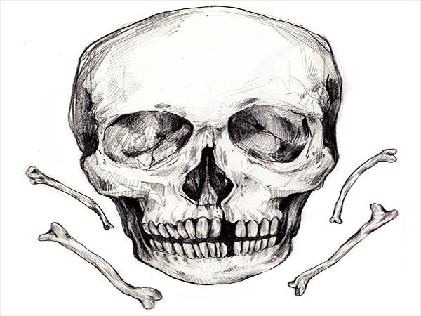 600x450 Skulls Drawings Free Premium Templates - Creepy Skull Drawing