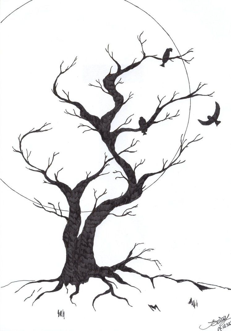 747x1070 Old Creepy Trees Sketch Black Tree - Creepy Tree Drawing