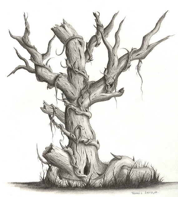 570x632 Tree Drawings - Creepy Tree Drawing