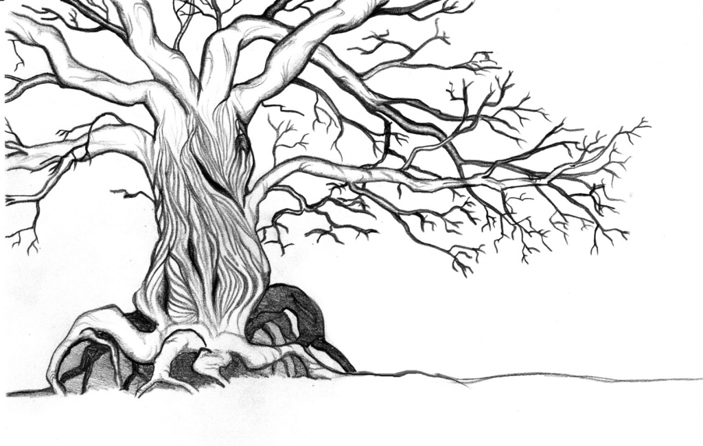 Creepy Tree Drawing At Explore Collection Of