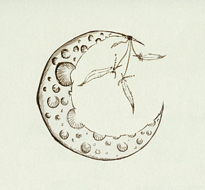 300x278 crescent moon drawings - Crescent Drawing