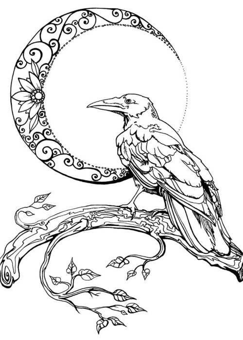 500x700 crescent moon crow greeting card for sale - Crescent Drawing
