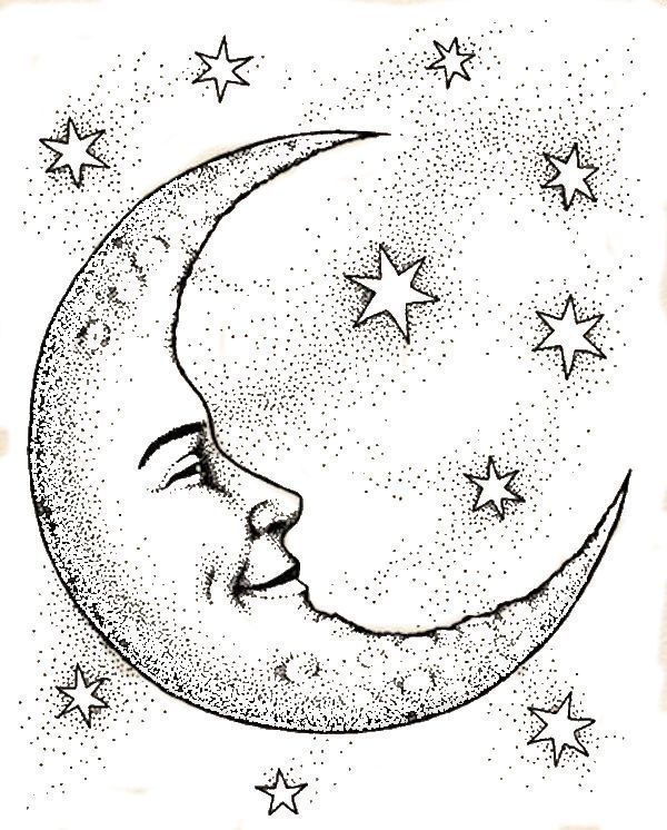 600x746 crescent moon face stars coloring web - Crescent Moon Drawing
