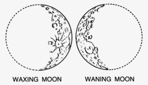 300x174 Tumblr Moon Png, Free Hd Tumblr Moon Transparent Image - Crescent Moon Drawing Tumblr