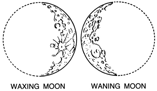 600x349 Realistic Crescent Moon Drawing Archives - Cresent Moon Drawing