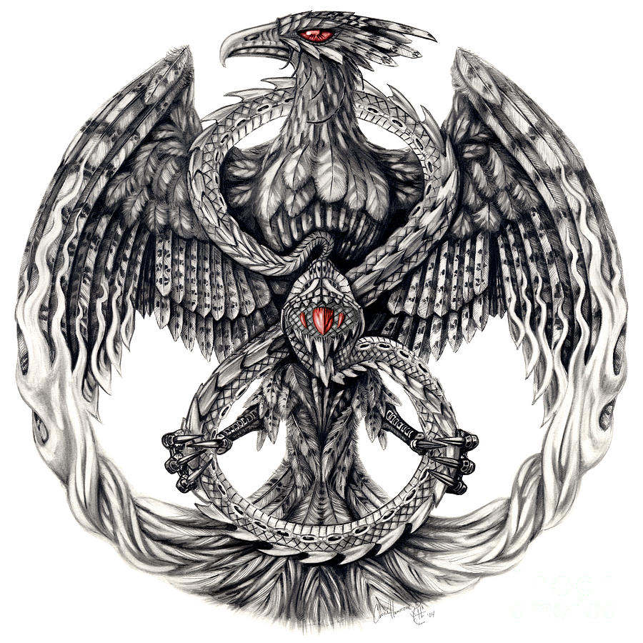 900x900 phoenix crest drawing - Crest Drawing