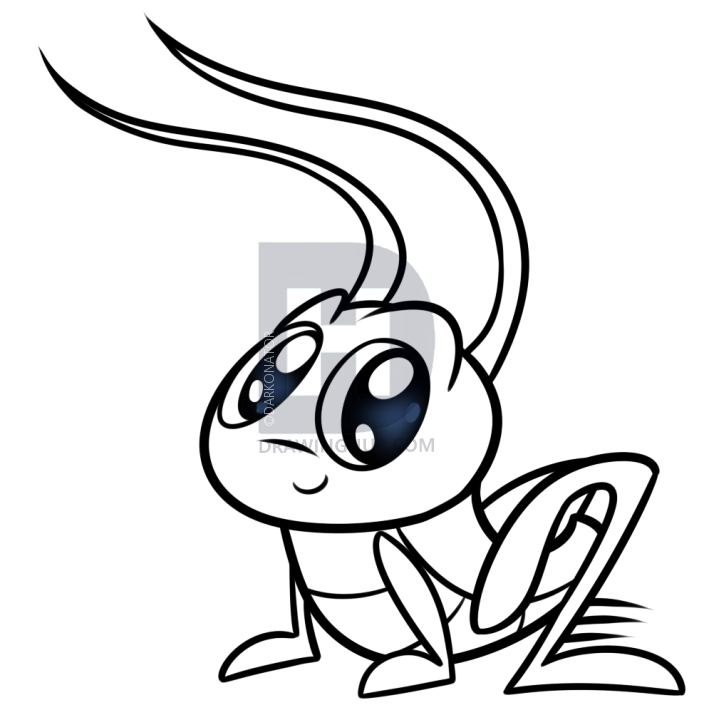 704x720 Cartoon Cricket Drawing Tutorial, Step - Cricket Drawing