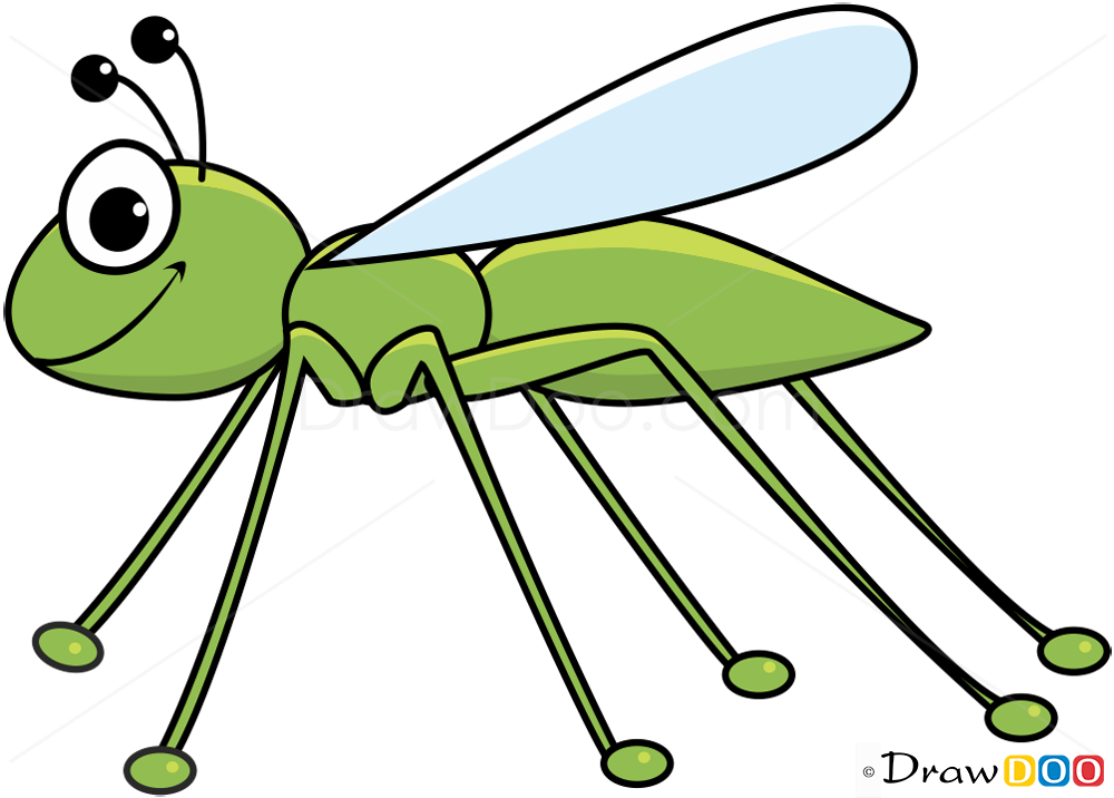 How To Draw A Cute Cricket Step By Step Insect Illust vrogue.co