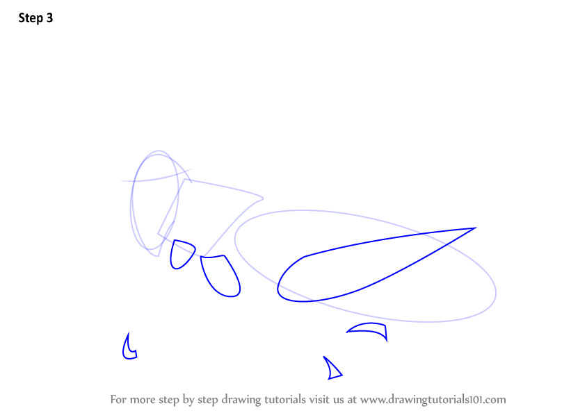 844x598 Learn How To Draw A Cricket - Cricket Insect Drawing