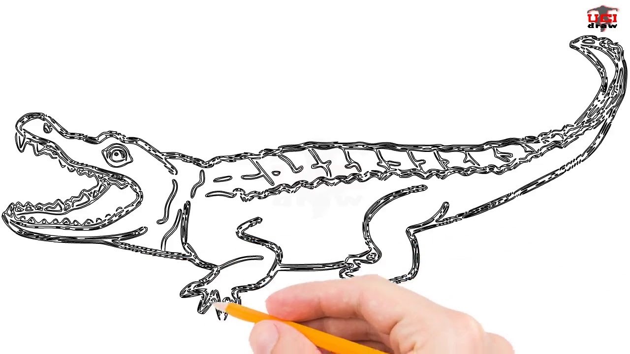 1280x720 how to draw a crocodile step - Croc Drawing