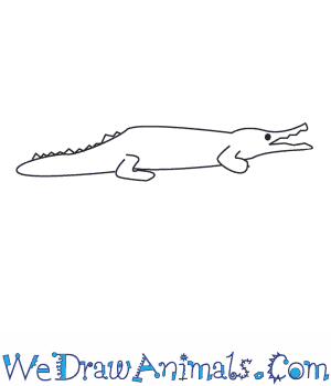 300x350 how to draw a crocodile - Croc Drawing