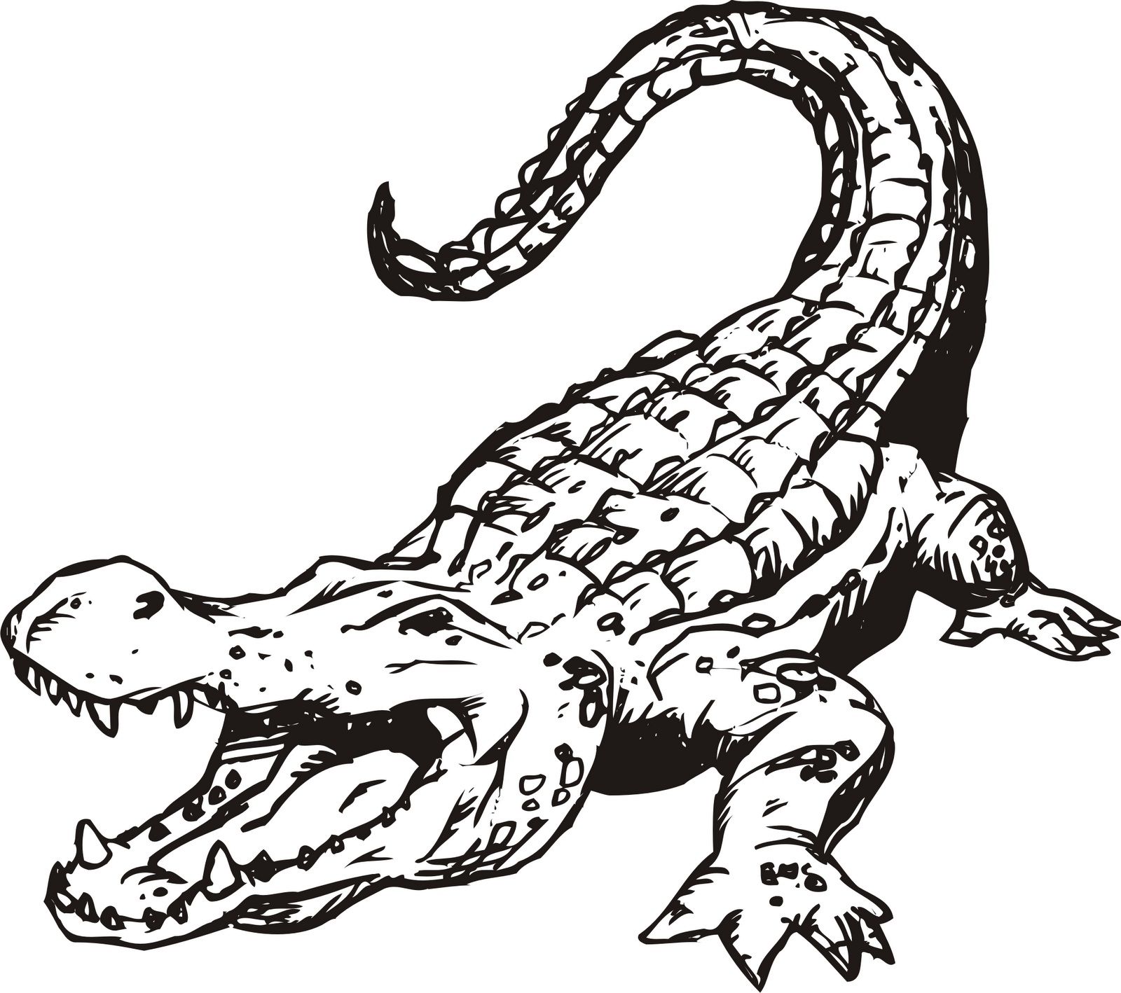 1600x1418 images for gt alligator drawing outline icons - Croc Drawing