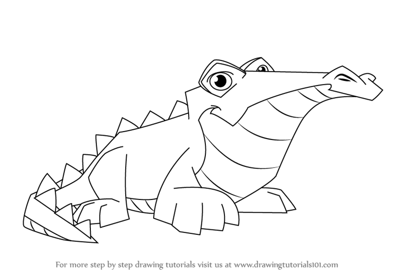800x566 learn how to draw crocodile from animal jam - Croc Drawing