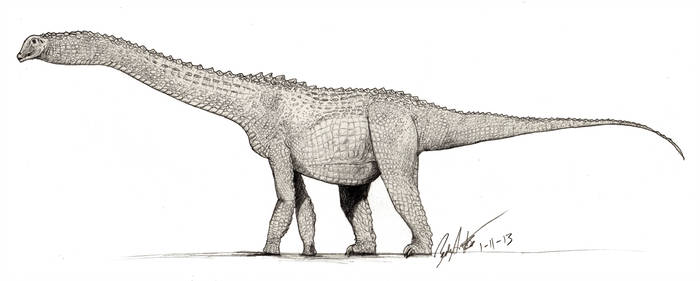 700x281 alamosaurus drawing with croc scales - Croc Drawing