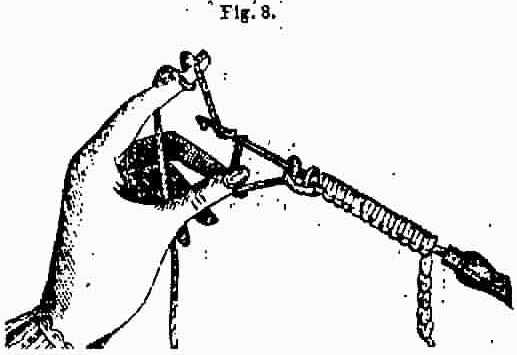 517x355 tatting with a crochet hook - Crochet Hook Drawing