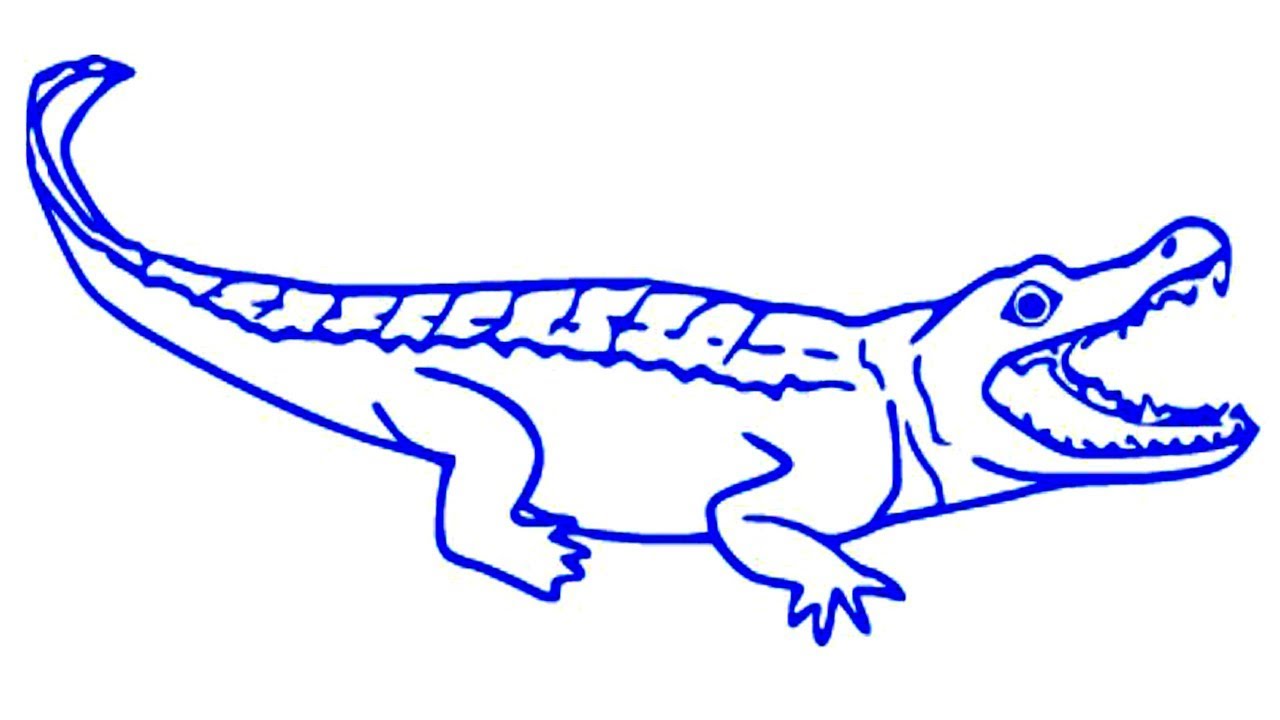 Crocodile Cartoon Drawing at Explore collection of