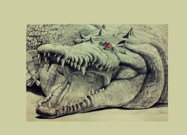 375x272 Crocodile King Drawing - Crocodile Drawing