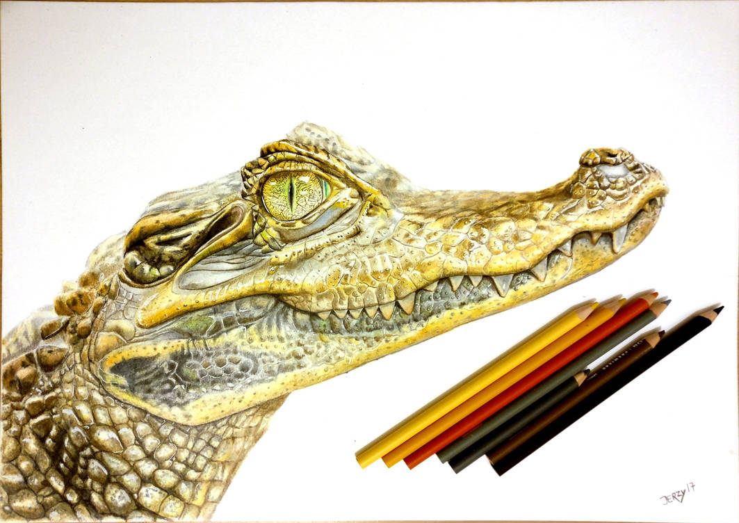 Краска крокодил